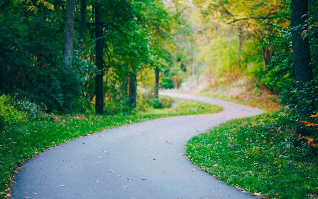 Destino, Propósito y Función – Navegando tu Verdadero Camino