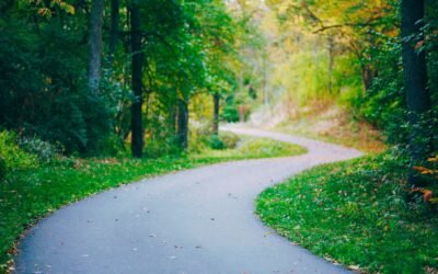 Destino, Propósito y Función – Navegando tu Verdadero Camino